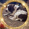 Paula Furzey's avatar