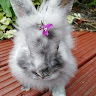 clare filtness's avatar