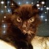 Kelly Harrop's avatar
