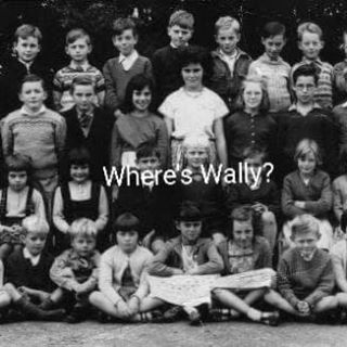 Rose Jolliffe's avatar