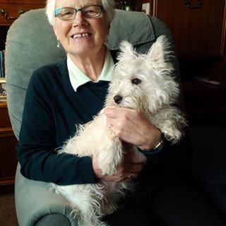 Lilian Stephen's avatar