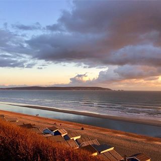 Tracy Haupt's avatar