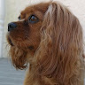 Marilyn Smith's avatar