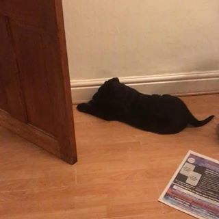 Shaun Barrett's avatar