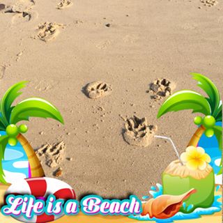 Kerry Tarrant's avatar