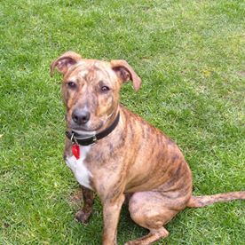 Mark Entwisle's avatar