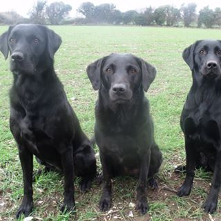 Mary Cooper's avatar