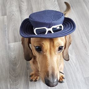 Tanya Robinson's avatar