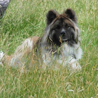 Jane Doughton's avatar