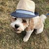 Bear Growls's avatar