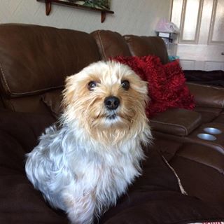 Anne Nicholls's avatar