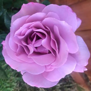 Deborah Mellor's avatar