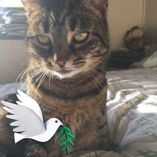 Vicki Hall's avatar