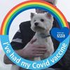Edward MacIver's avatar