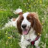 Freddie's Frolics's avatar