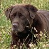 Amanda Tudor's avatar