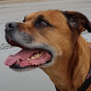 Kieran Young's avatar