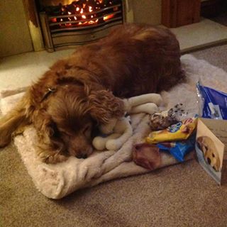 Frances Stewart's avatar