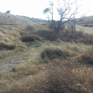 Bob Millican's avatar