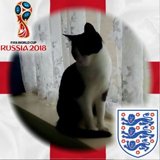 Lennard Jones's avatar