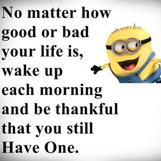 Thomas Meadows's avatar