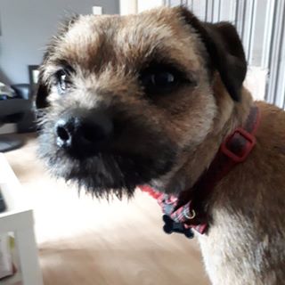 Andrew Roberts's avatar