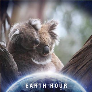 Arleen Mcfarlane's avatar