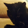 Basil L's avatar