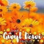 Janice Davies's avatar