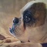 Linda C's avatar
