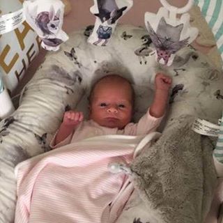 Norma Randle's avatar