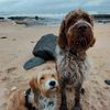Sue Leet's avatar