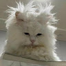 Natalie W's avatar