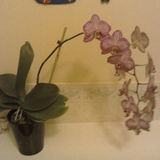 Margaret Evans's avatar