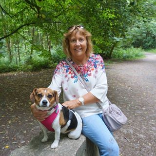 Jane Merritt's avatar