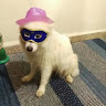 Justin C's avatar