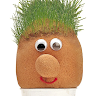 Adrian M's avatar