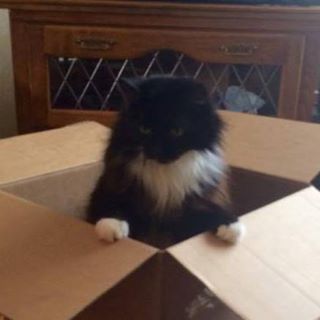 Angie Stroud's avatar