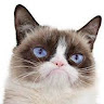 Kathleen Worrall's avatar