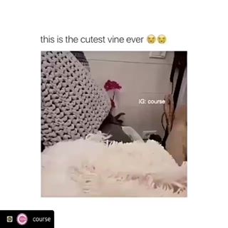 Maureen Power's avatar