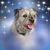 Sue B's avatar
