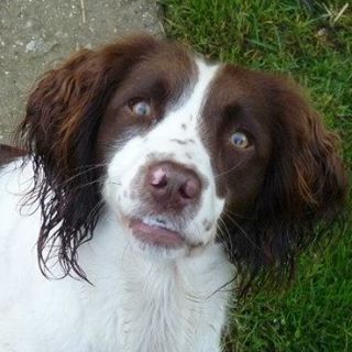 Mildred CH's avatar
