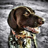 baz s's avatar