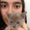 Maria Vanegas's avatar