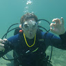 Stephen Leach's avatar
