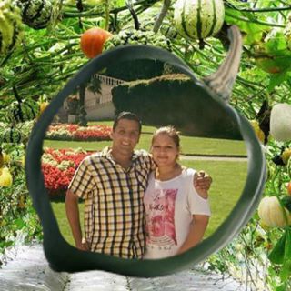 Mohammad Ebrahimi's avatar