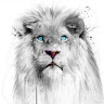 VK's avatar