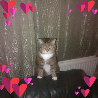 Maggie Barber's avatar