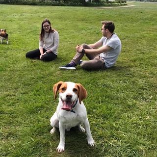 Jonathan Carter's avatar