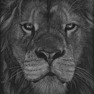 Gwyn Winter's avatar